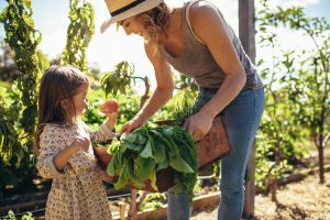 Eco friendly actions: having your own farm/garden