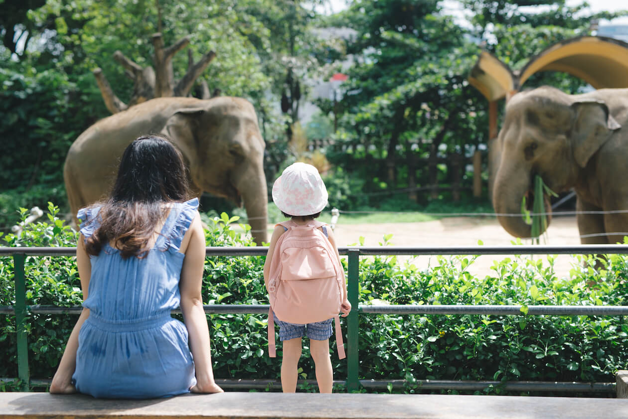 Animal welfare: zoo