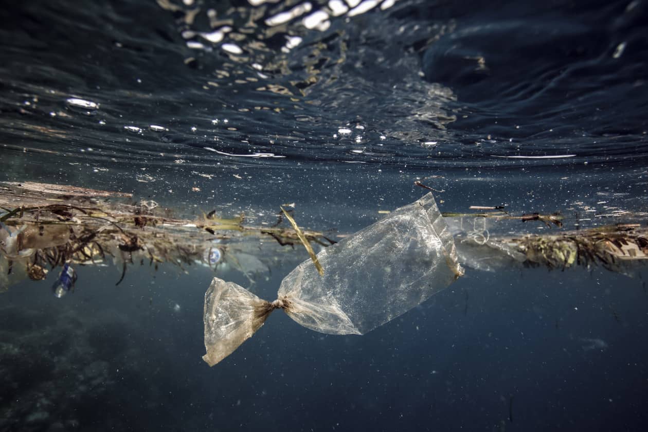 海がプラスチックで汚染される