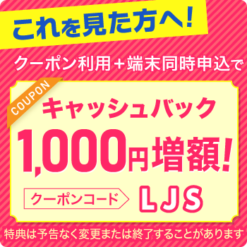 ビッグローブワイマックス1,000円クーポンコード