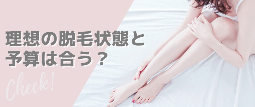 理想の脱毛状態と予算は合う?
