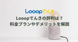Looopでんきのクチコミや評判