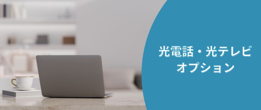 光電話・光テレビオプション