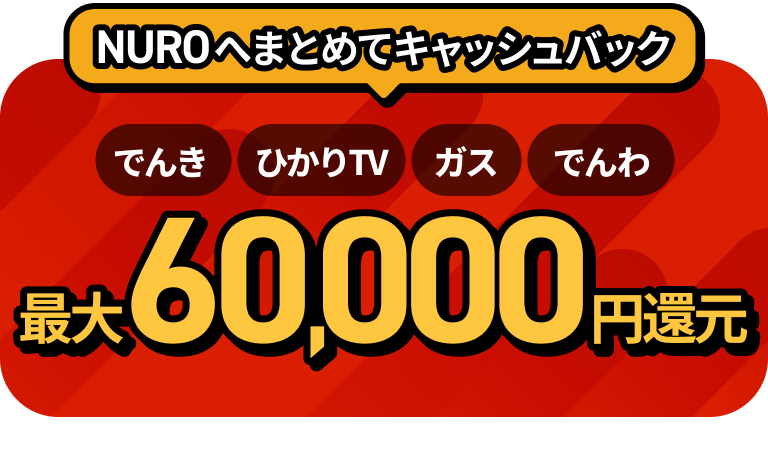 オプション加入で最大60,000円キャッシュバック！光電話・テレビ・電気・ガスの概要・料金