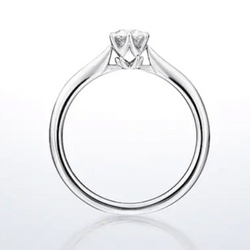 銀座ダイヤモンドシライシのデザイン