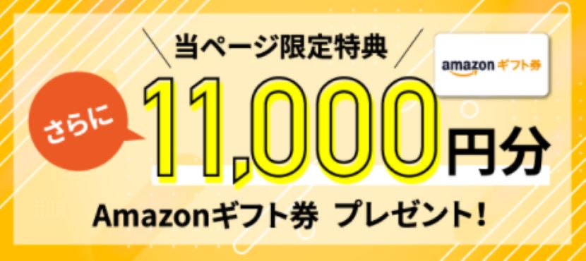 当ページ限定特典11,0000円分Amazonギフト券プレゼント