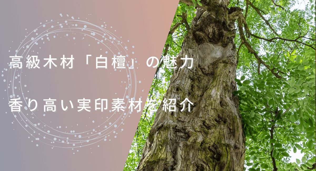 高級木材白檀の魅力を紹介