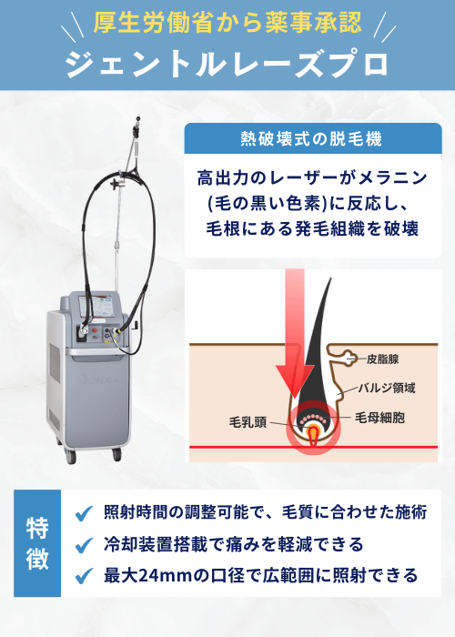 ジェトルレーズプロ