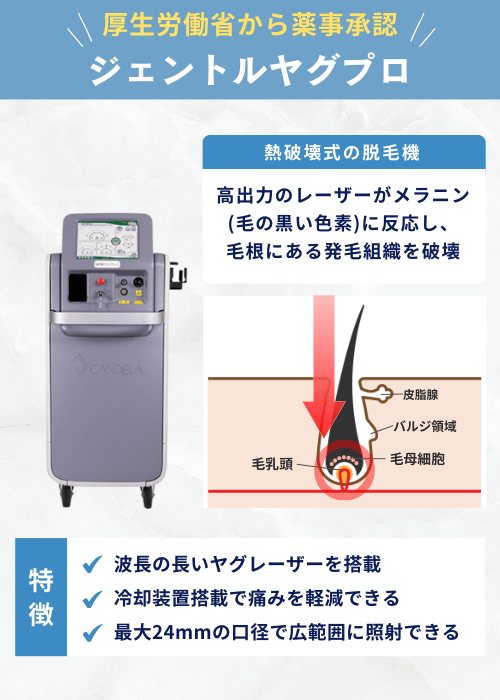 ジェントルヤグプロ