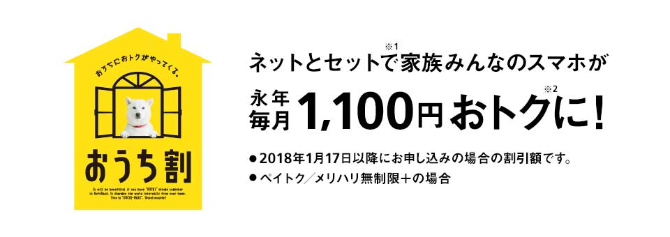 おうち割 光セットのLP画像