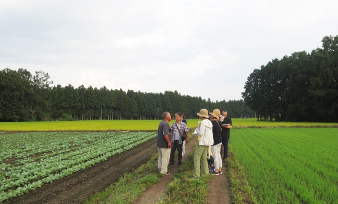 国産・無添加・減農薬の安心食材を使用