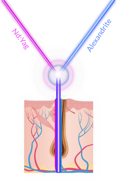 BLEND X®テクノロジー