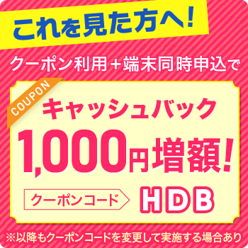 ビッグローブワイマックス1,000円クーポンコード