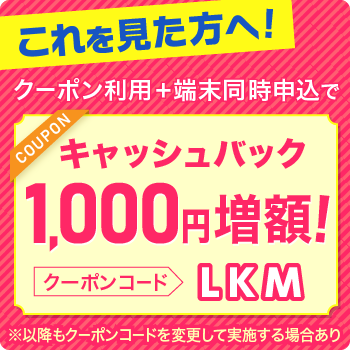 ビッグローブワイマックス1,000円クーポンコード