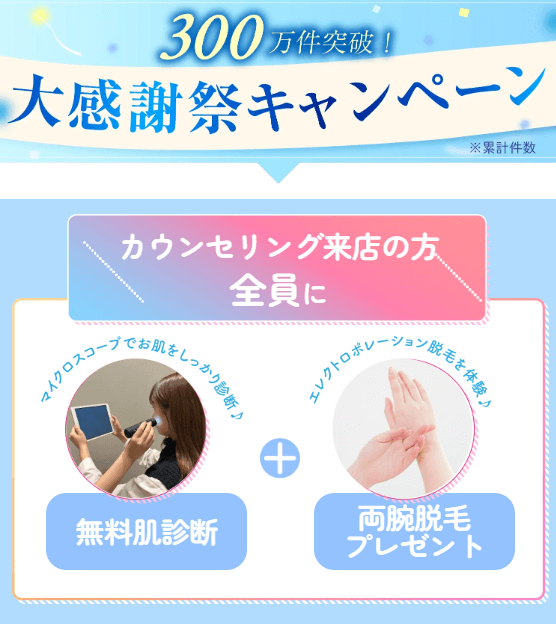 ストラッシュのキャンペーン