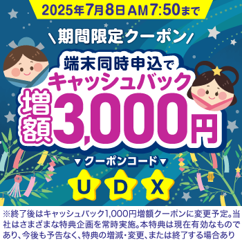 BIGLOBE 3,000円クーポン