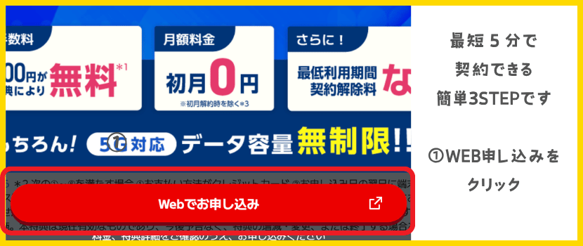 BIGLOBE WiMAX(ビッグローブワイマックス)申し込み画面
