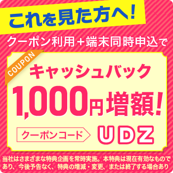 biglobewimax1000円クーポン