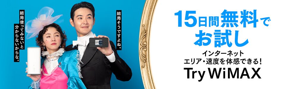 Try WiMAX
