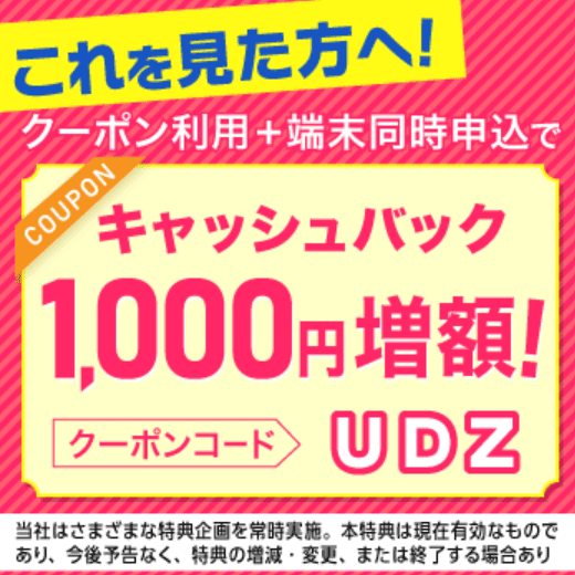 BIGLOBE 1,000円クーポン