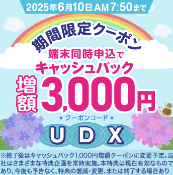 BIGLOBE 3,000円クーポン