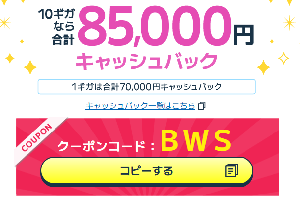 ビッグローブ光増額クーポン
