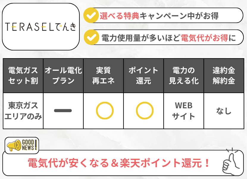 TERASELでんきの特徴