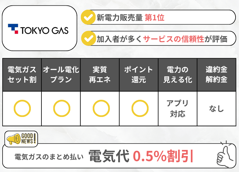 東京ガスの電気の特徴フル