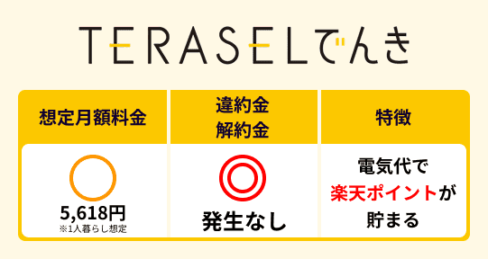 TERASELでんきの特徴