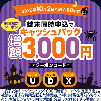 BIGLOBE 3,000円クーポン