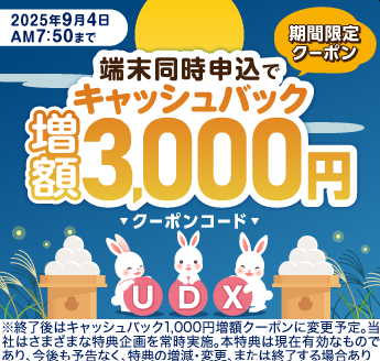 ビックローブワイマックスの期間限定3000円クーポン