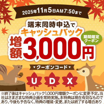 BIGLOBE 3,000円クーポン