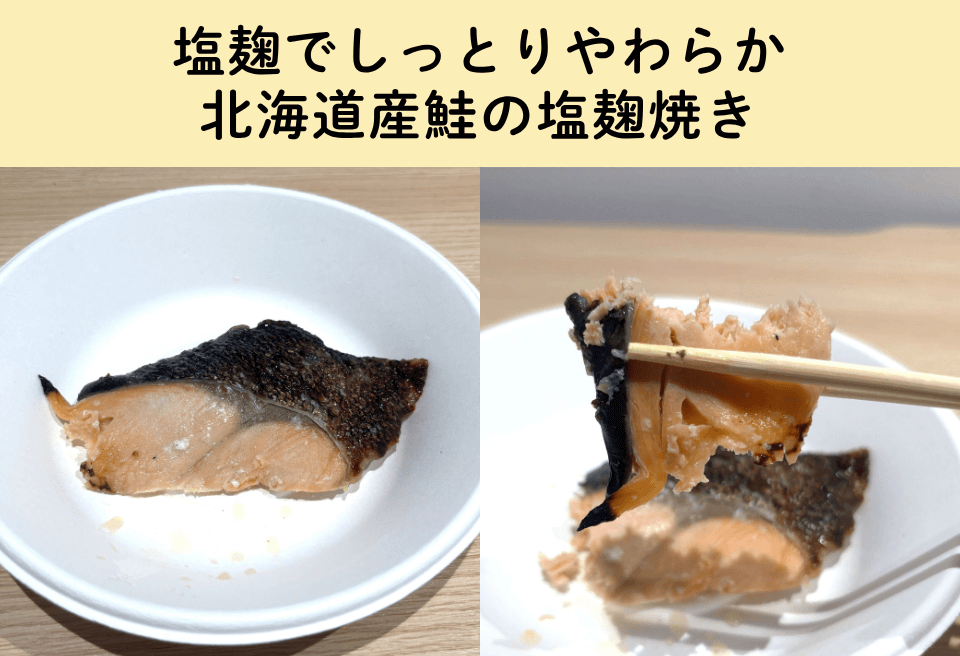 フィットディッシュの主食メニューを実食レポ3