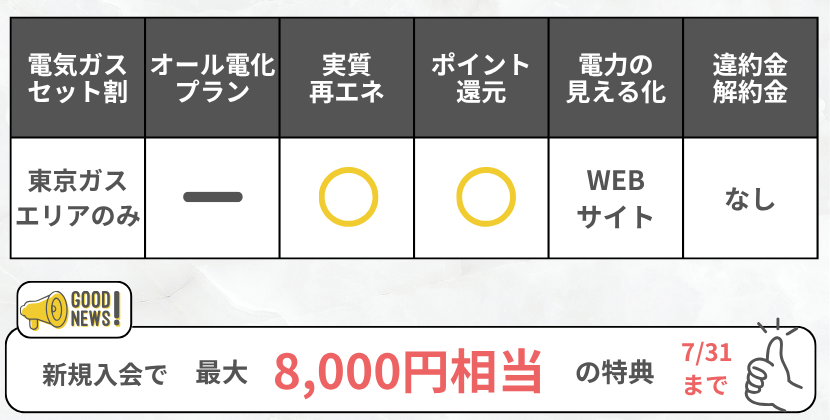 テラセルでんきの特徴