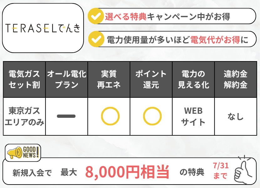 テラセルでんきの特徴