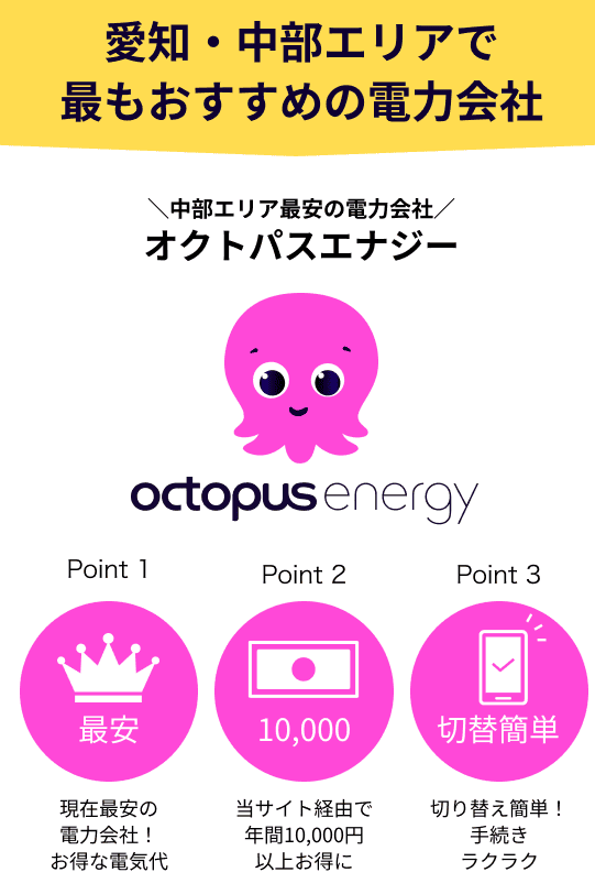中部エリアはオクトパスエナジーがおすすめ