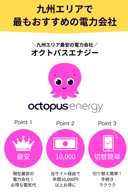 九州エリアでおすすめのオクトパスエナジー