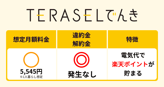 TERASELでんきの特徴