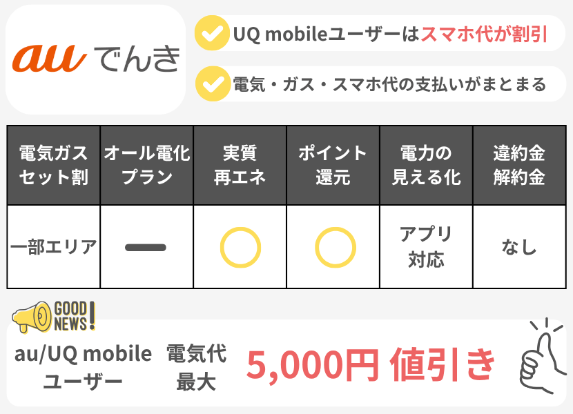 auでんきの特徴フル