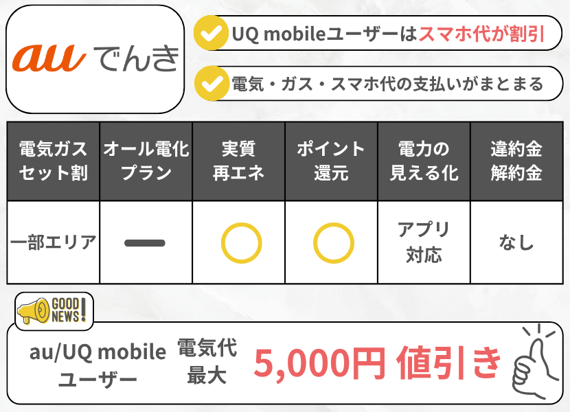 auでんきの特徴CPありフル