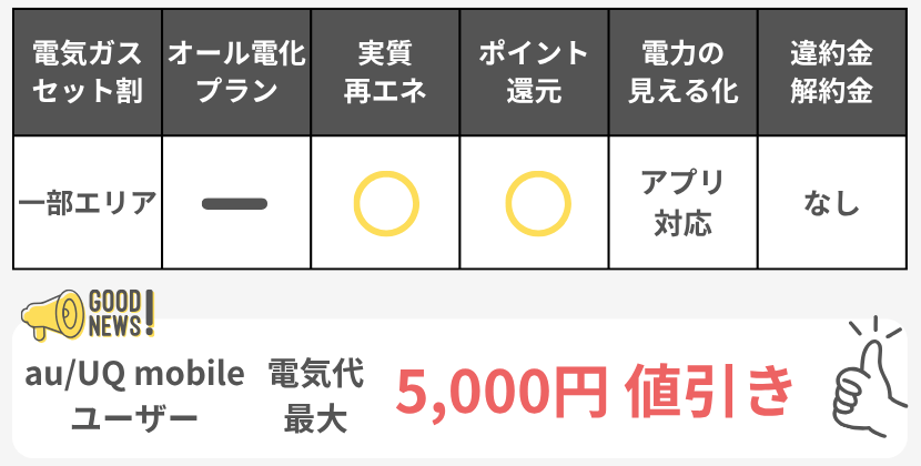 auでんきの特徴ミニ