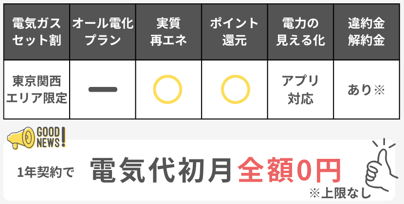 ソフトバンクおうち電気の特徴ミニ