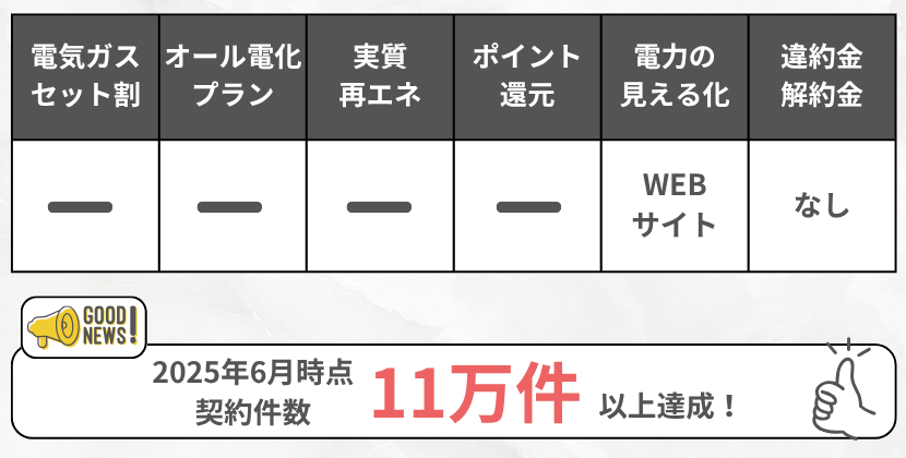 シン・エナジーの特徴ミニ