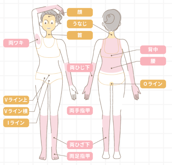ルシアクリニックライト脱毛範囲