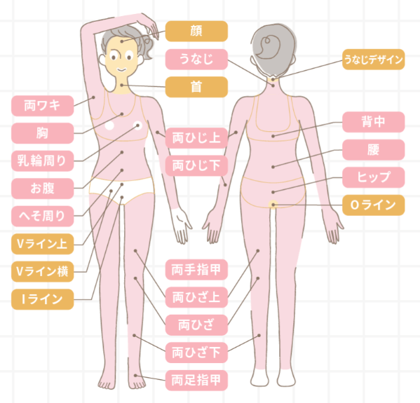 ルシアクリニックまるごと脱毛範囲