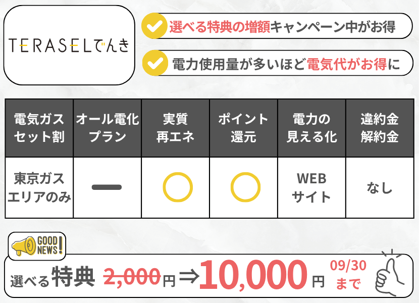 TERASELでんきの特徴・8月のキャンペーン情報