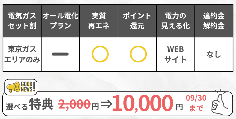 TERASELでんきの特徴・8月のキャンペーン