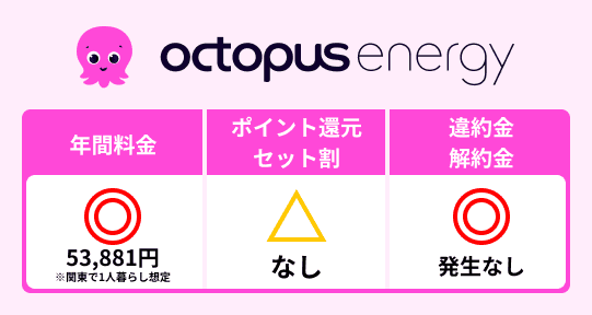 オクトパスエナジーの特徴