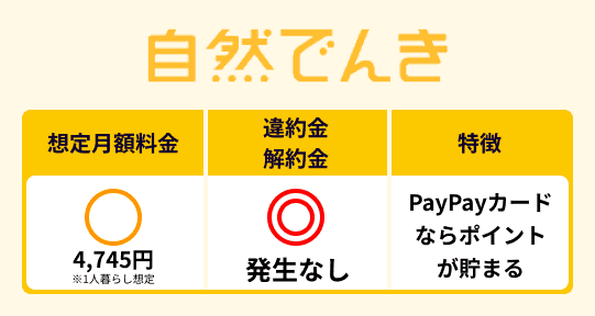 自然でんきの特徴