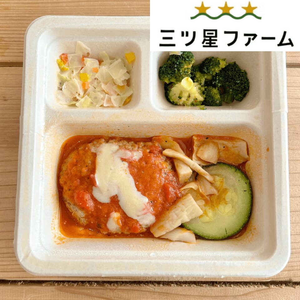 濃厚トマトソースとチーズの贅沢ハンバーグ
